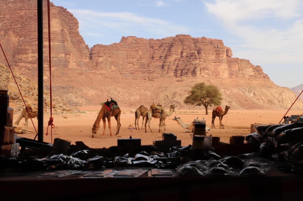 Bedouin Desert Camp Вади Рум Екстериор снимка